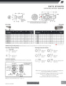 Locking Detent Series
