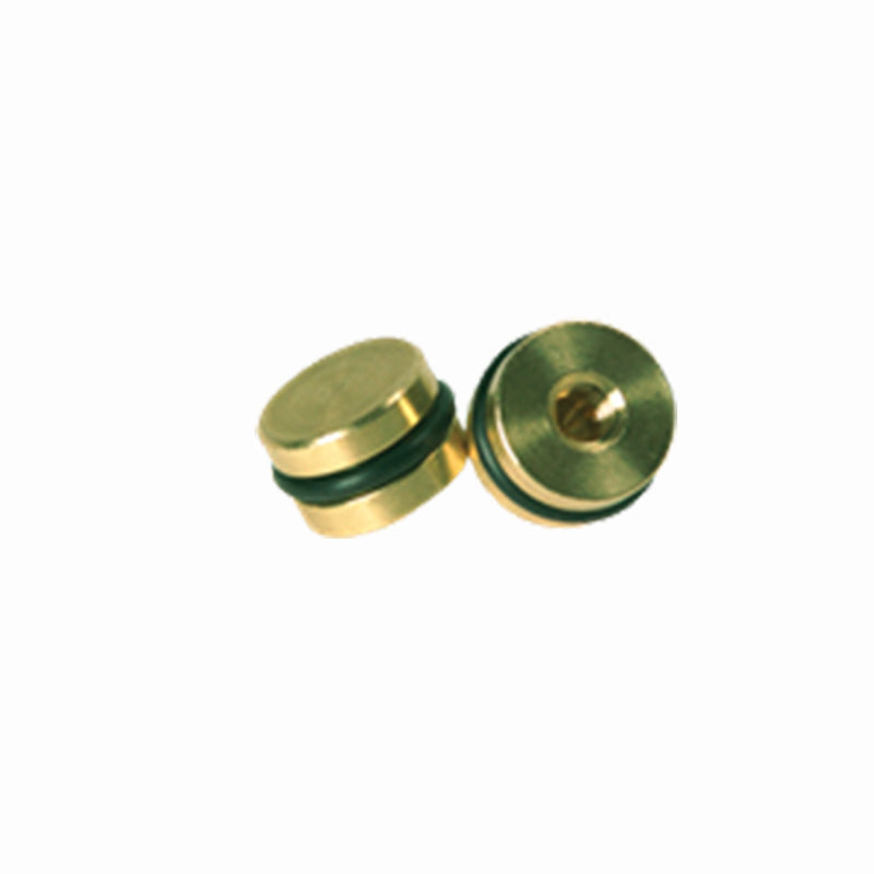 Threadless Plug Threadless Plugs: Push-In-O-Ring Type