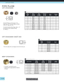 Pipe Plugs- BSTP Standard